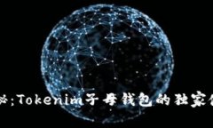 专家揭秘：Tokenim子母钱包