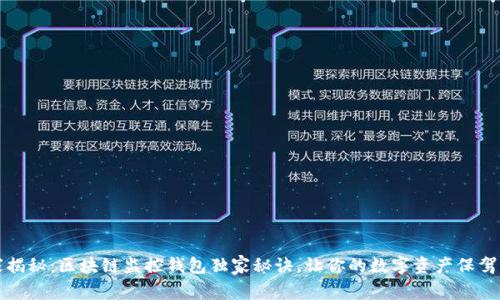 专家揭秘：区块链监控钱包独家秘诀，让你的数字资产保驾护航