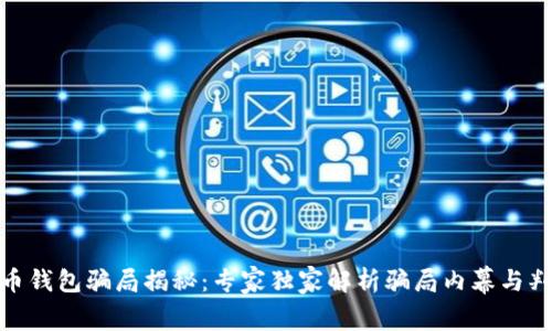 数字货币钱包骗局揭秘：专家独家解析骗局内幕与判刑案例