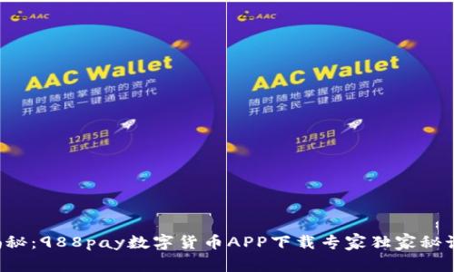 揭秘：988pay数字货币APP下载专家独家秘诀！