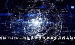 专家揭秘：Tokenim钱包显示
