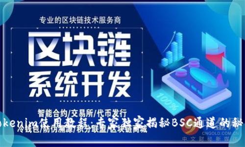 Tokenim使用教程：专家独家揭秘BSC通道的秘诀