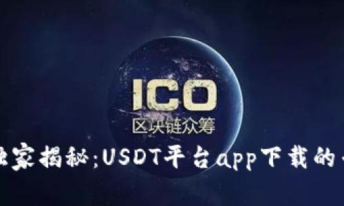 2023年独家揭秘：USDT平台app下载的专家秘籍！