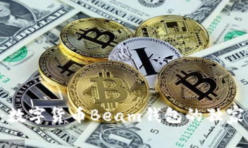 专家揭秘：数字货币Beam钱包的独家使用秘诀！