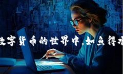   数字货币导入钱包的专家