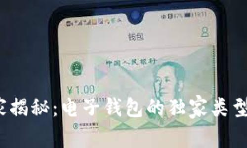 2023年专家揭秘：电子钱包的独家类型与选择秘诀