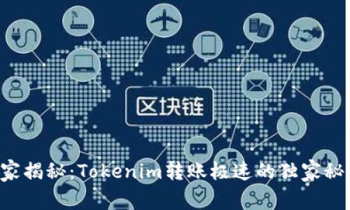 专家揭秘：Tokenim转账极速的独家秘诀！