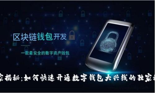 专家揭秘：如何快速开通数字钱包大兴线的独家秘诀