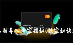 比特派钱包私钥导入专家揭秘！独家秘诀助你轻