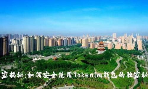 专家揭秘：如何安全使用Tokenim钱包的独家秘诀