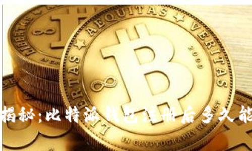 专家独家揭秘：比特派钱包注册后多久能开始收U？