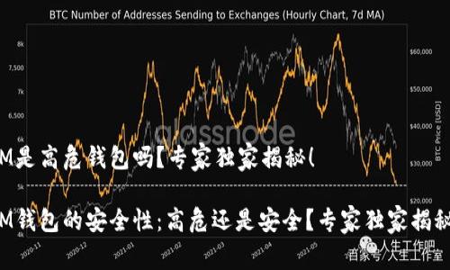IM是高危钱包吗？专家独家揭秘！

IM钱包的安全性：高危还是安全？专家独家揭秘！
