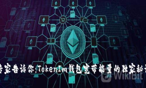 专家告诉你：TokenIm钱包宽带能量的独家秘诀