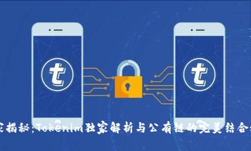 专家揭秘：Tokenim独家解析与公有链的完美结合秘诀