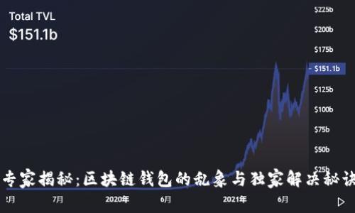 专家揭秘：区块链钱包的乱象与独家解决秘诀