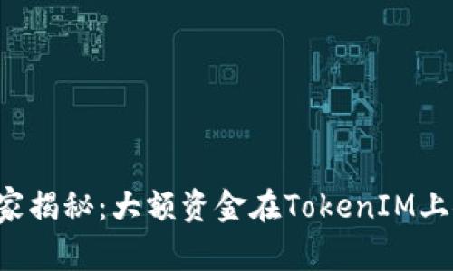 专家独家揭秘：大额资金在TokenIM上安全吗？