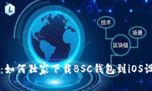 专家揭秘：如何独家下载BSC钱包到iOS设备的秘诀