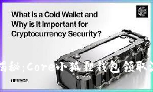 专家独家揭秘：Core小狐狸钱包领取流程与技巧