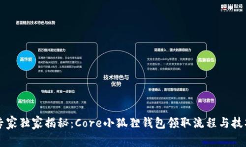专家独家揭秘：Core小狐狸钱包领取流程与技巧