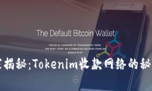 专家独家揭秘：Tokenim收款网络的秘密与优势