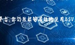 BSV（Bitcoin Satoshi Vision）本