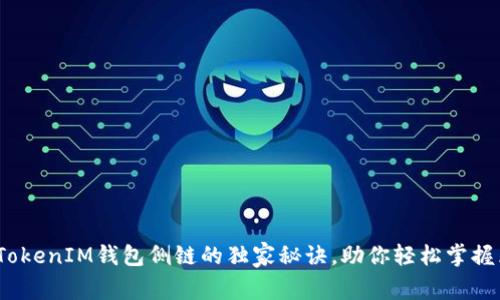 专家揭秘：TokenIM钱包侧链的独家秘诀，助你轻松掌握区块链世界