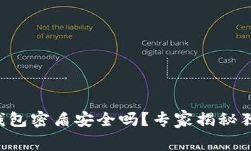 虚拟币钱包密盾安全吗？专家揭秘独家秘诀！