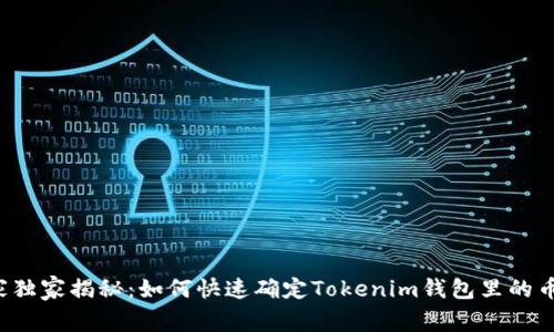 专家独家揭秘：如何快速确定Tokenim钱包里的币种？