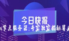 Tokenim节点服务器：专家独