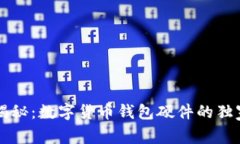 专家揭秘：数字货币钱包