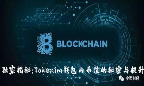 专家独家揭秘：Tokenim钱包内币值的秘密与提升秘籍
