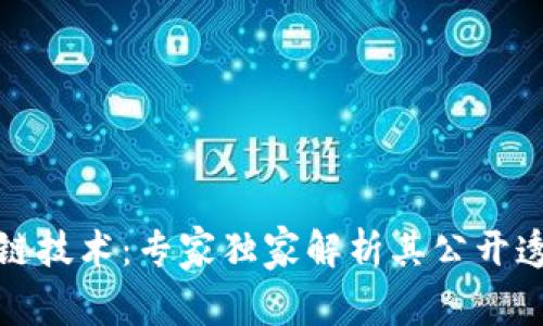 揭秘区块链技术：专家独家解析其公开透明的秘密