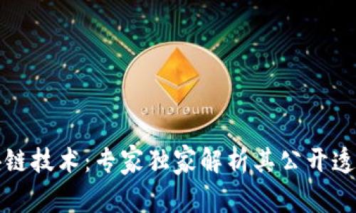 揭秘区块链技术：专家独家解析其公开透明的秘密