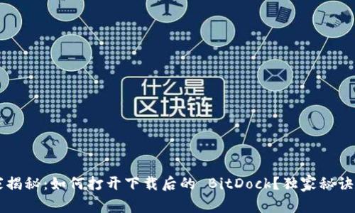 专家揭秘：如何打开下载后的 BitDock？独家秘诀分享