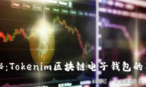 专家揭秘：Tokenim区块链电子钱包的独家秘诀