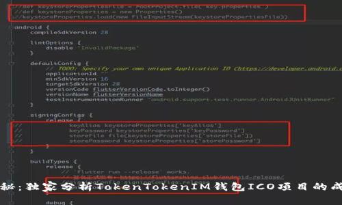 专家揭秘：独家分析TokenTokenIM钱包ICO项目的成功秘诀