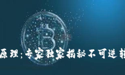 区块链的密码学原理：专家独家揭秘不可逆转的数据安全秘诀