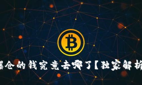 专家揭秘：虚拟币爆仓的钱究竟去哪了？独家解析背后的秘密与秘诀