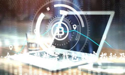 专家解读：全球最新数字钱包独家揭秘及使用秘诀