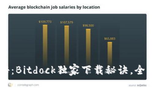 专家揭秘：Bitdock独家下载秘诀，全方位指南