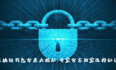 区块链钱包分类大揭秘：专家分享独家选择秘诀