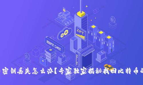 比特币密钥丢失怎么办？专家独家揭秘找回比特币的秘诀！