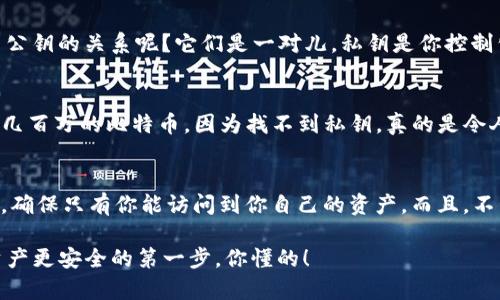 私钥在Tokenim钱包中的重要性与安全秘籍

私钥, Tokenim钱包, 数字货币安全/guanjianci

1. 什么是Tokenim钱包？
Tokenim钱包，顾名思义，就是一个用于存储和管理你数字货币的地方。说白了，它就像一个电子版的兜，把你所有的数字资产都装在里面。其实，现在越来越多的人开始使用这种类型的钱包来管理自己的加密货币，比如比特币、以太坊等等。就我个人而言，觉得Tokenim相对来说用户友好一些，适合刚接触数字货币的朋友。

2. 私钥到底是什么玩意儿？
好啦，接下来我们来谈谈私钥这个话题。私钥是一个超级重要的概念，其实它就是你通往钱包和数字资产的钥匙。没错，没了这把钥匙，别人就无法打开你的钱包，获取里面的资产。所以，私钥的保管尤为重要，真的要小心翼翼！

3. 为什么私钥如此重要？
那么，私钥究竟有多重要呢？我给你几个案例：想象一下，假设你的私钥被其他人获取了，那可就惨了，数字资产会被盗走，这种情况时有发生。其实，区块链技术的一个核心特点就是“去中心化”，这意味着没有中央机构来保护你的资产。因此，私钥变得尤为关键，确保那把“钥匙”只有你自己拥有，明白吗？

4. 如何管理和保护你的私钥？
说到这里，肯定有人会问，私钥该怎么管理和保护呢？这里有几个小秘籍可以分享给你：
ul
li第一，使用冷钱包：把私钥存放在没有互联网连接的设备上，比如USB，这样可以有效防止黑客的攻击。/li
li第二，备份私钥：在多个安全的地方备份你的私钥文件，让自己在遗失或忘记时不至于损失惨重。/li
li第三，尽量避免在网络上分享你的私钥：觉得安全就分享，风险往往越大。/li
/ul

5. Tokenim钱包中的私钥管理机制
Tokenim钱包其实也有一些内置的私钥管理机制，像是对私钥进行加密保护。在创建钱包时，你会设置一个强密码来加密你的私钥，这样当前的加密技术也相对安全。不过，切记这样并不意味着你就可以掉以轻心，还是要定期更新密码，做好你的安全防护措施。

6. 私钥与公钥的关系
在继续深入之前，我们得明确另一个概念，就是公钥。简单来说，公钥就是你可以分享给别人的一个地址，它允许别人给你转账。那么私钥与公钥的关系呢？它们是一对儿，私钥是你控制公钥的“钥匙”，如果有人获得了你的私钥，他们也就能够控制与之对应的公钥了。因此，私钥必须保持机密，而公钥则可以公开。

7. 忘记私钥有什么后果？
如果你不小心忘记了你的私钥，那后果可就相当严重了。许多人因为无法再找回私钥而失去了他们的所有数字资产。听说有人丢失了价值几百万的比特币，因为找不到私钥，真的是令人扼腕叹息啊！

8. 总结：私钥的安全保障
所以，总的来说，私钥在Tokenim钱包中扮演着至关重要的角色，就像是房子的钥匙一样，少了一把，房子就再也无法进入。保护好你的私钥，确保只有你能访问到你自己的资产。而且，不管数字货币再怎么发展，私钥的概念都会依然存在，所以掌握这些知识，你就能在数字货币的世界里更加从容不迫。

希望这些信息对你理解Tokenim钱包的私钥有所帮助！如果你还有其他问题，随时可以问我哦！说真的，搞清楚这些细节才是让你的数字资产更安全的第一步，你懂的！