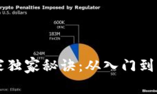 区块链钱包专家独家秘诀：从入门到精通的基础教程