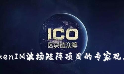 独家揭秘：TokenIM波场矩阵项目的专家观点与成功秘诀