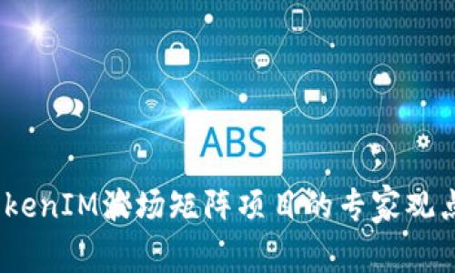 独家揭秘：TokenIM波场矩阵项目的专家观点与成功秘诀
