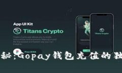 专家揭秘：Gopay钱包充值的
