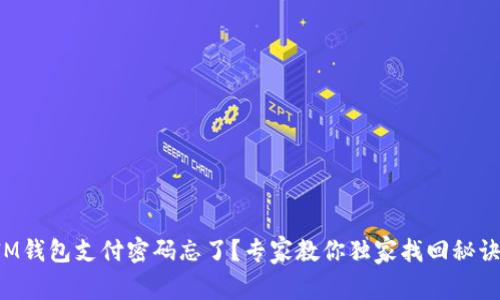 IM钱包支付密码忘了？专家教你独家找回秘诀！
