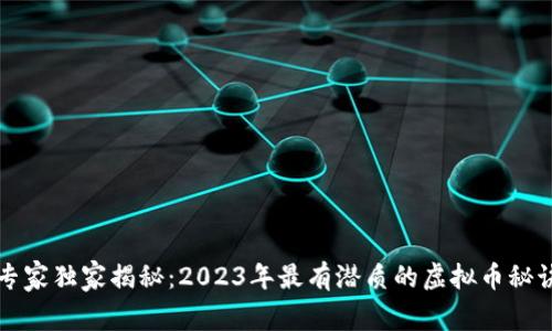专家独家揭秘：2023年最有潜质的虚拟币秘诀