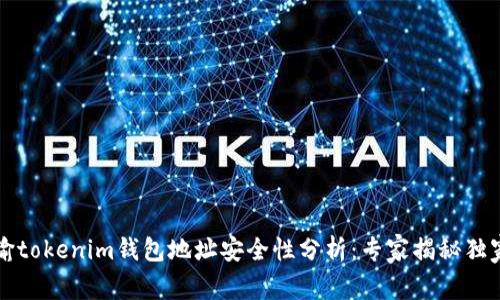 空投输tokenim钱包地址安全性分析：专家揭秘独家秘诀